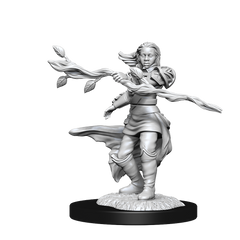 D&D - Nolzur's Marvelous Minatures: Human Druid (female) | All Aboard Games