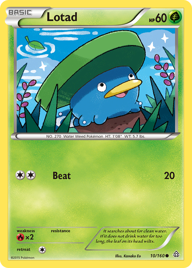 Lotad (10/160) [XY: Primal Clash] | All Aboard Games