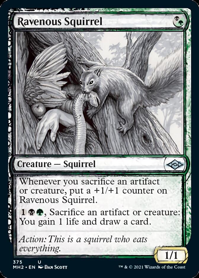 Ravenous Squirrel (Sketch) [Modern Horizons 2] | All Aboard Games