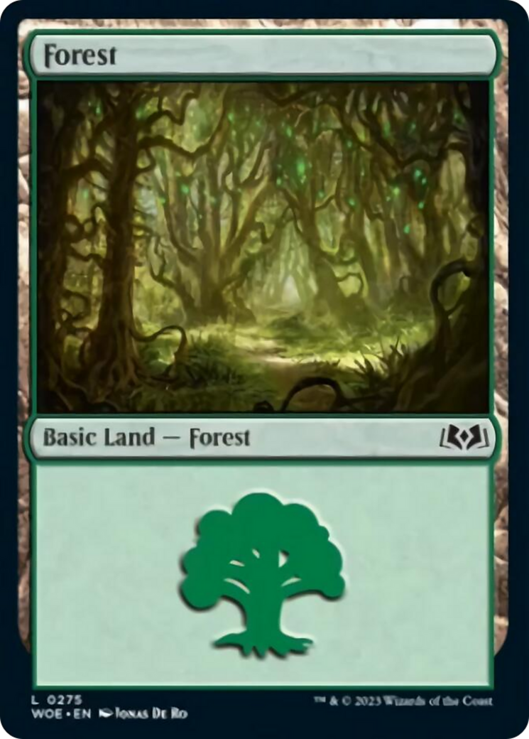 Forest (0275) [Wilds of Eldraine] | All Aboard Games
