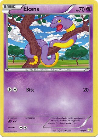 Ekans (16/30) [XY: Trainer Kit - Noivern] | All Aboard Games