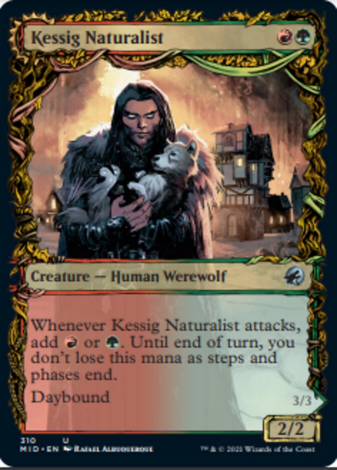 Kessig Naturalist // Lord of the Ulvenwald (Showcase Equinox) [Innistrad: Midnight Hunt] | All Aboard Games