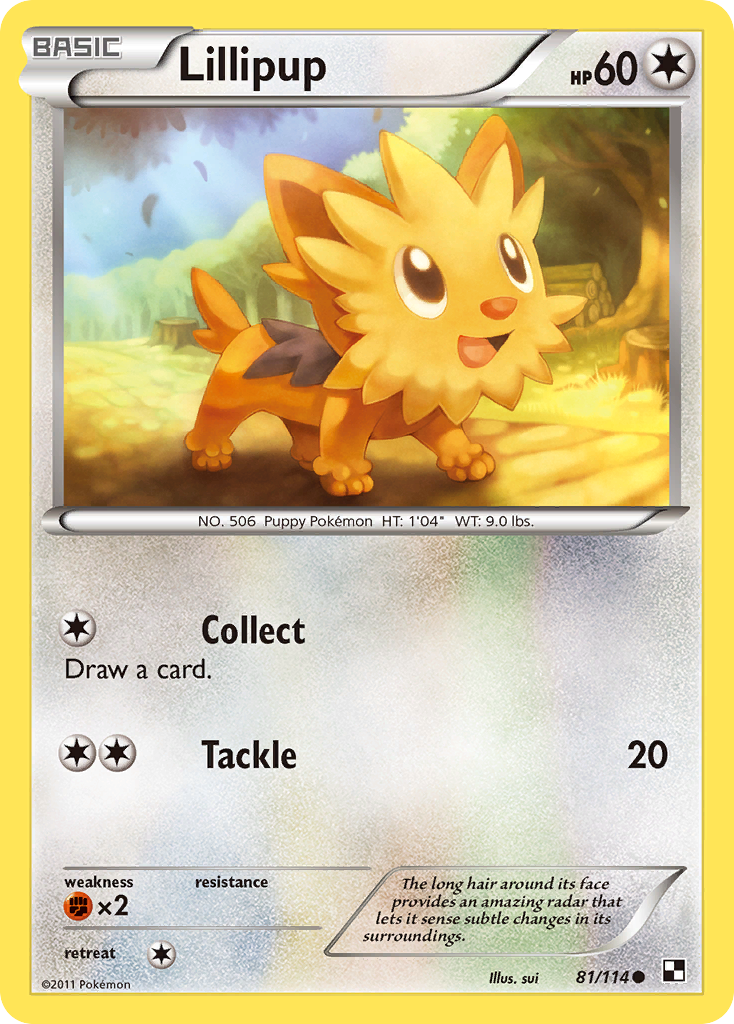 Lillipup (81/114) [Black & White: Base Set] | All Aboard Games