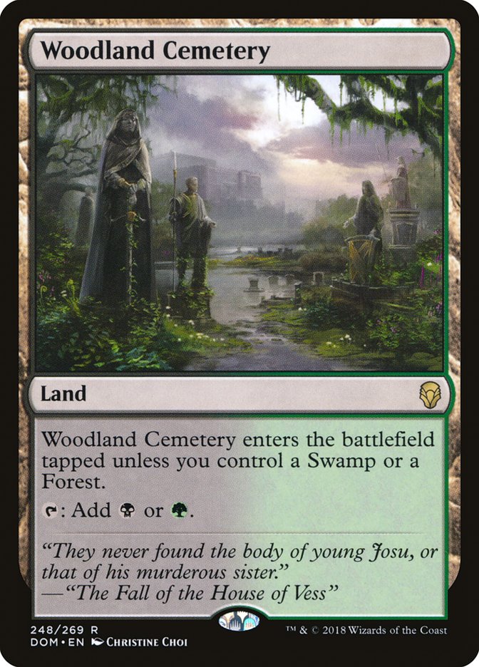 Woodland Cemetery [Dominaria] | All Aboard Games