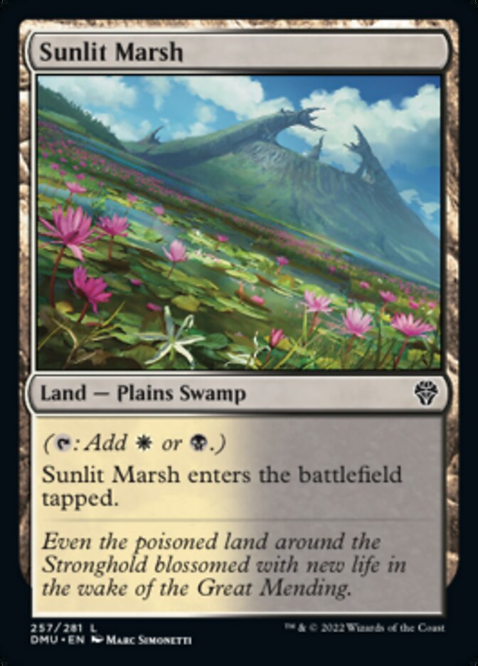 Sunlit Marsh [Dominaria United] | All Aboard Games