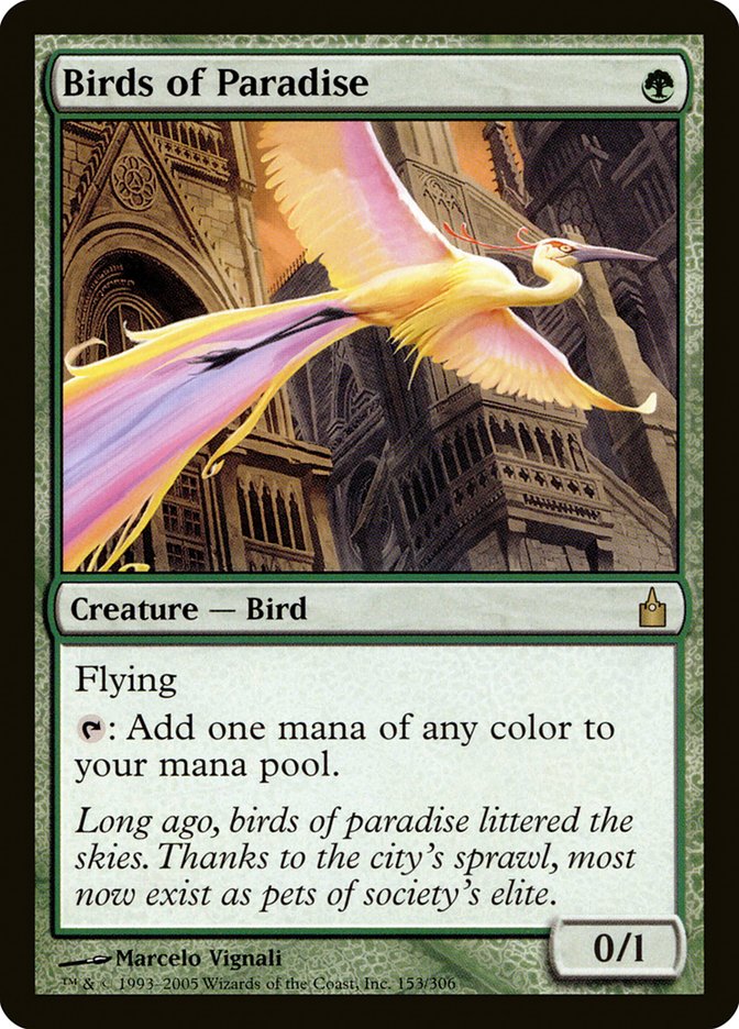 Birds of Paradise [Ravnica: City of Guilds] | All Aboard Games