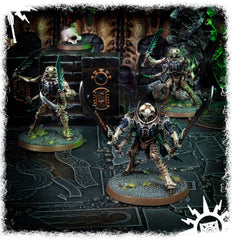 Warhammer: Age of Sigmar - Ossiarch Bonereapers: Necropolis Stalkers | All Aboard Games