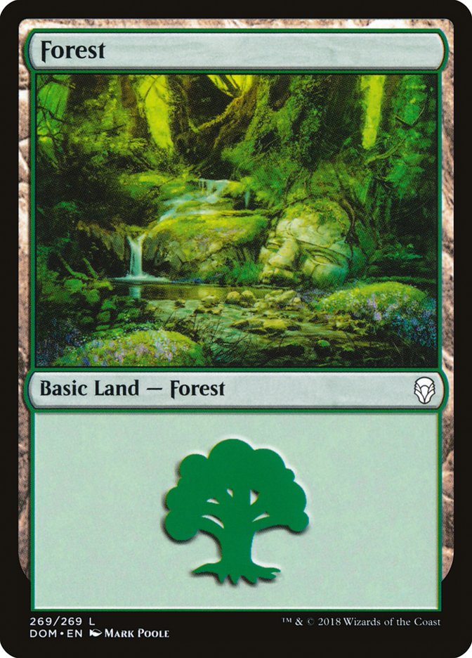 Forest (269) [Dominaria] | All Aboard Games