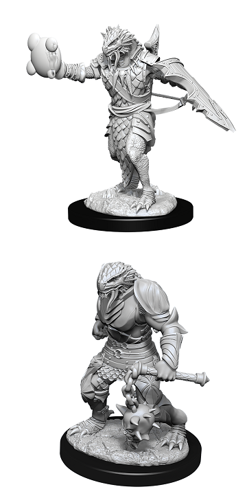 D&D - Nolzur's Marvelous Miniatures: Dragonborn Paladin (Male) | All Aboard Games