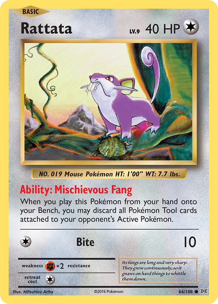 Rattata (66/108) [XY: Evolutions] | All Aboard Games