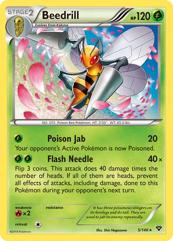 Beedrill (5/146) [XY: Base Set] | All Aboard Games