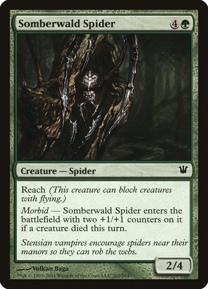 Somberwald Spider [Innistrad] | All Aboard Games