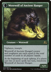 Sage of Ancient Lore // Werewolf of Ancient Hunger [Shadows over Innistrad] | All Aboard Games