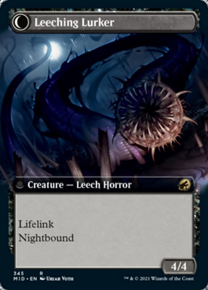 Curse of Leeches // Leeching Lurker (Extended) [Innistrad: Midnight Hunt] | All Aboard Games