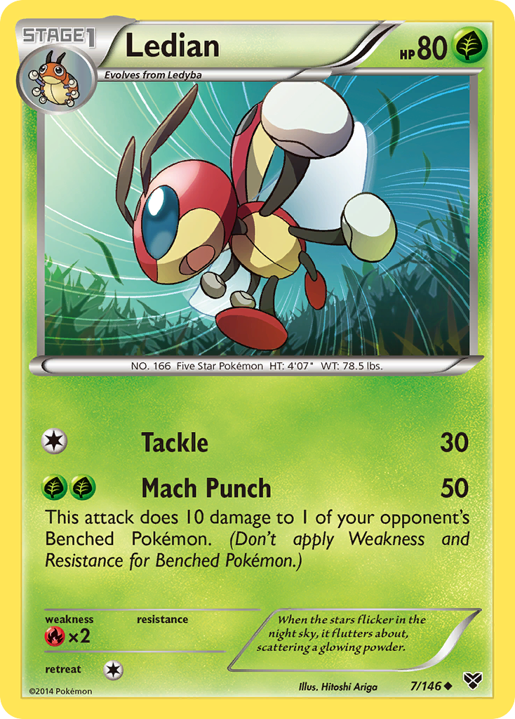 Ledian (7/146) [XY: Base Set] | All Aboard Games