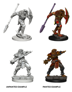 D&D - Nolzur's Marvelous Minatures: Dragonborn Fighter with Spear | All Aboard Games